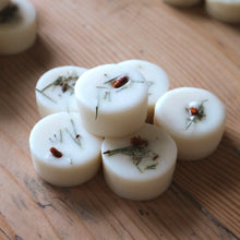 Load image into Gallery viewer, Scots Pine - Botanical Wax Melts 6-Pack
